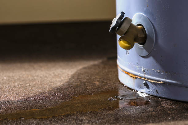 Best Water damage restoration near me  in Broomfield, CO