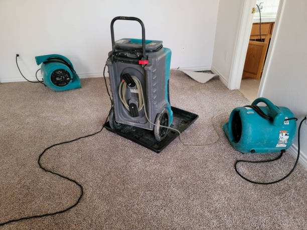 Best Sewage cleanup and water damage restoration  in Broomfield, CO