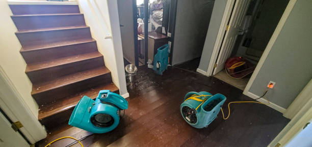 Best Residential water damage restoration  in Broomfield, CO