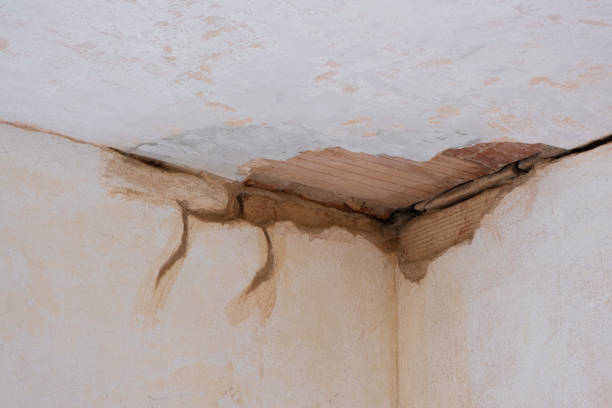 Water damage restoration experts in CO