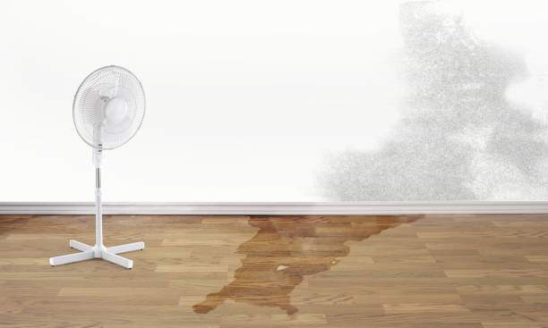 Best Water damage cleanup near me  in Broomfield, CO