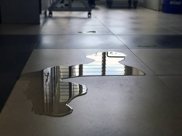Best Carpet water damage restoration  in Broomfield, CO
