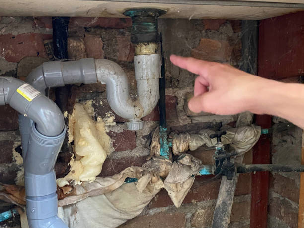 Best Flood damage cleanup  in Broomfield, CO