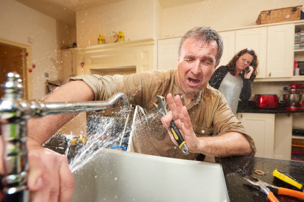 Best Professional water damage repair  in Broomfield, CO